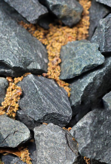 close-up of gray landscaping rock with oak tassels between them abstract background